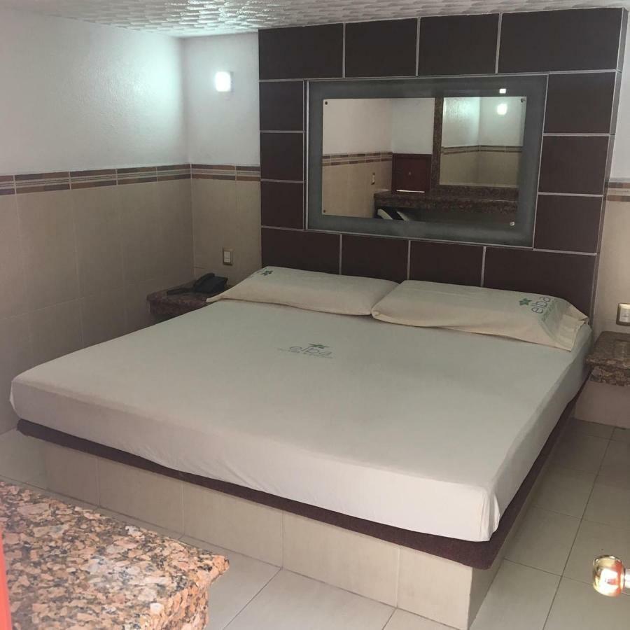 Hotel & Suites Elba 托卢卡 外观 照片