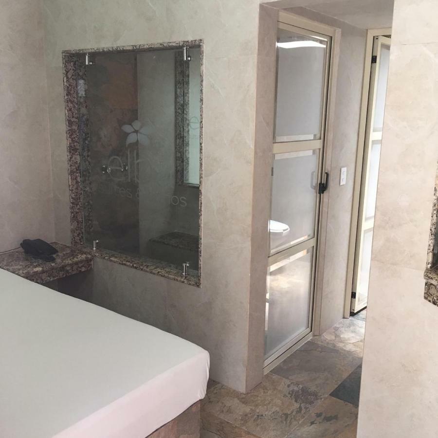 Hotel & Suites Elba 托卢卡 外观 照片